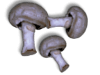 Captcha image 5759